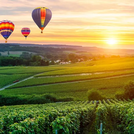 Le Cosy - 2 - Hyper Centre